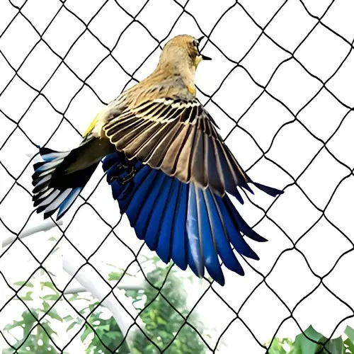 Master Netting Balcony Bird Net in Andhra Pradesh, Telangana, Tamil Nadu, Karnataka, Odisha and Maharashtra